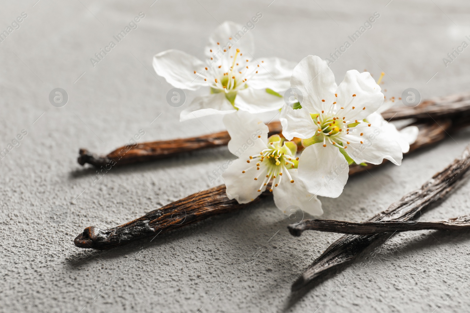 Photo of Vanilla sticks and flowers on light background