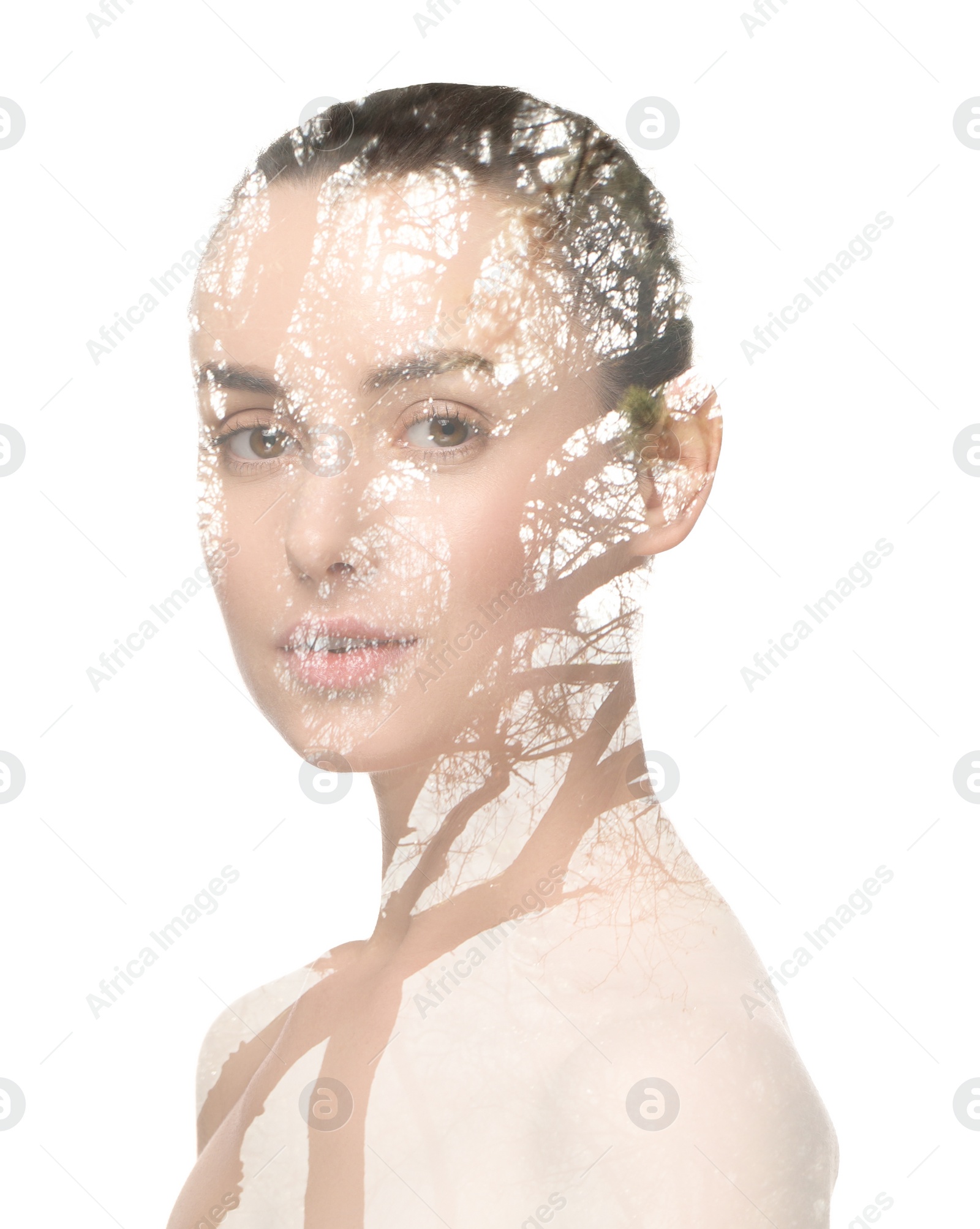 Image of Double exposure of beautiful woman and trees on white background