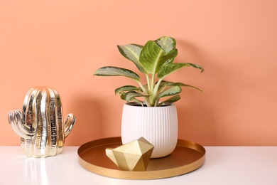 Beautiful houseplant on white table near orange coral  wall