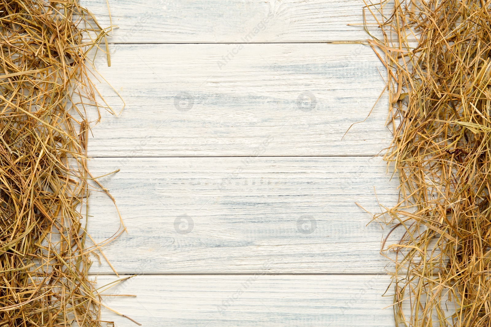 Photo of Dried hay on white wooden background, flat lay. Space for text