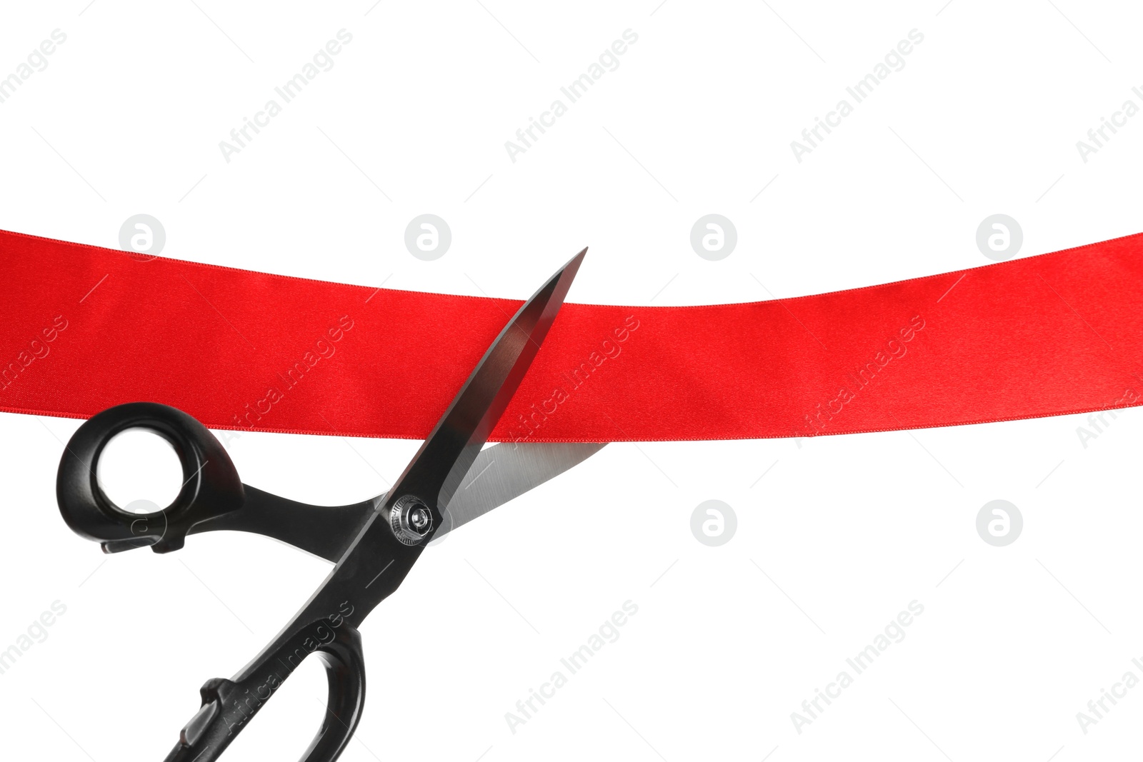 Photo of Cutting red ribbon with scissors on white background