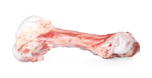 Photo of Big raw meaty bone isolated on white