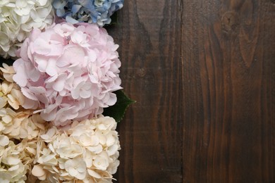 Beautiful hydrangea flowers on wooden background, top view. Space for text
