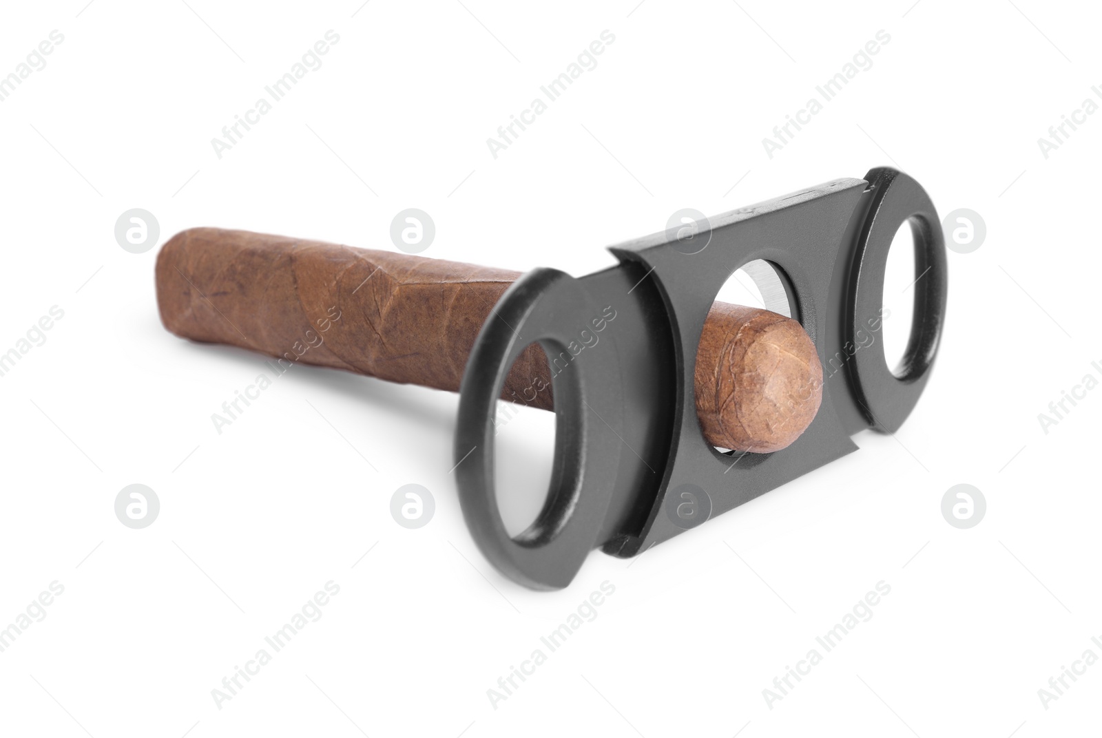 Photo of Cigar wrapped in tobacco leaf and cutter isolated on white