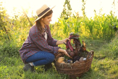 Photo of Woman harvesting different fresh ripe vegetables on farm