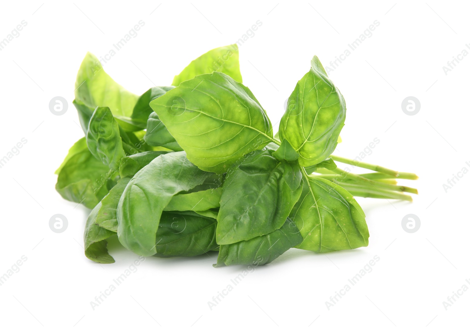 Photo of Fresh green basil leaves on white background