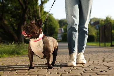 Photo of Woman walking with cute French Bulldog outdoors, closeup