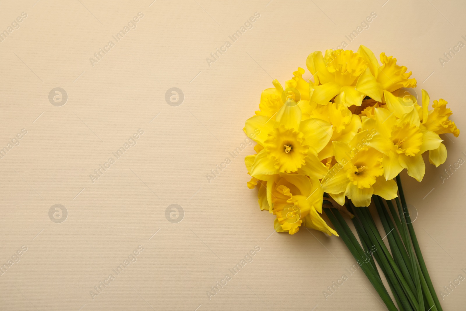 Photo of Beautiful daffodil bouquet on beige background, top view. Space for text