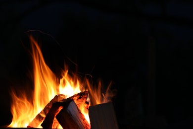 Beautiful bright bonfire with burning wood outdoors at night, space for text