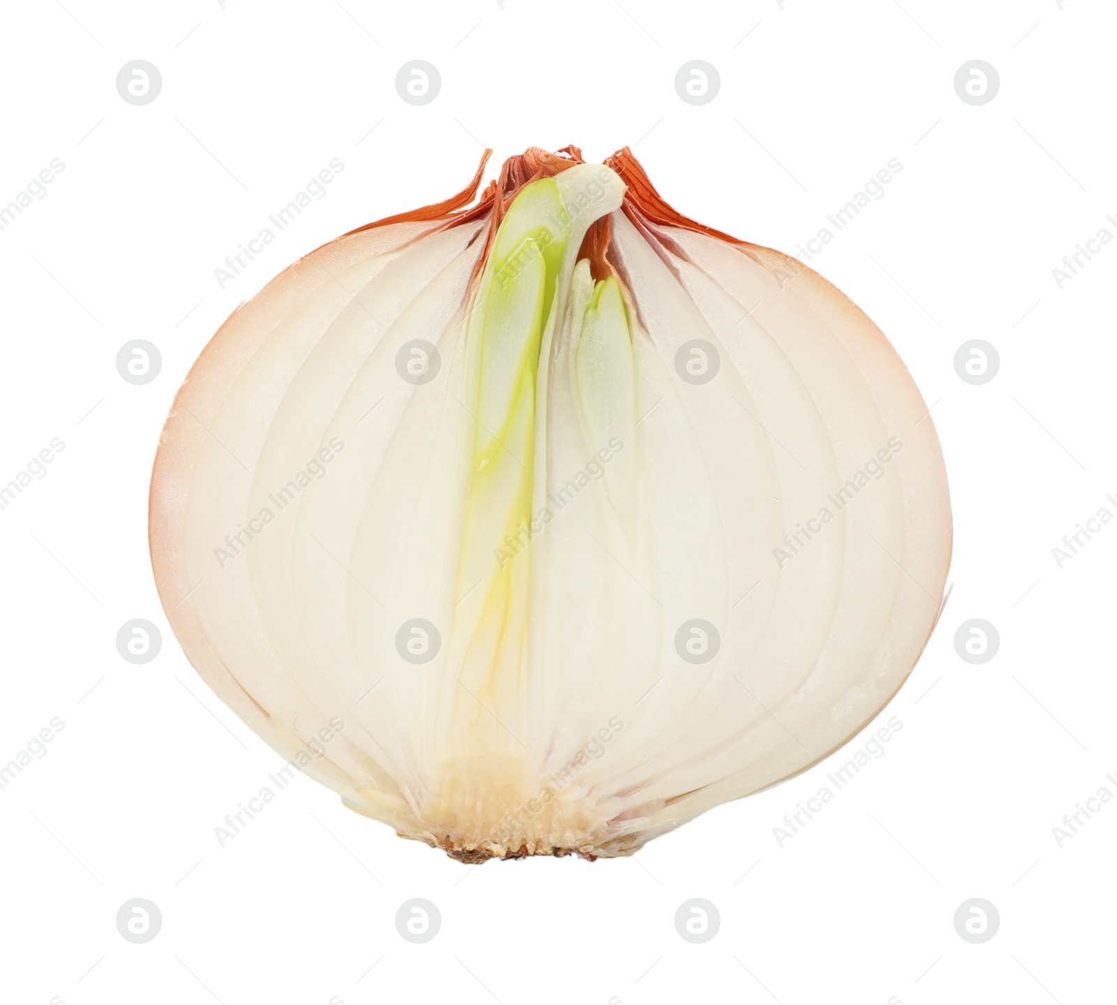 Photo of Half of fresh onion isolated on white