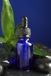 Bottle of face serum and bamboo branch on spa stones against blue background, closeup