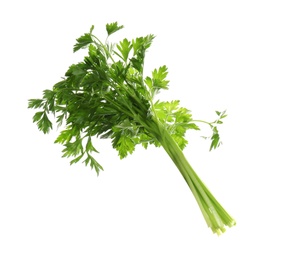 Photo of Bunch of fresh green parsley on white background