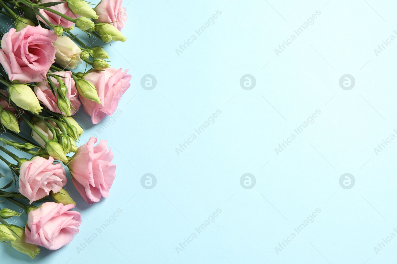 Photo of Happy Mother's Day. Beautiful roses on light blue background, flat lay. Space for text