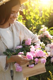 Photo of Young woman holding crate with beautiful tea roses in garden, closeup