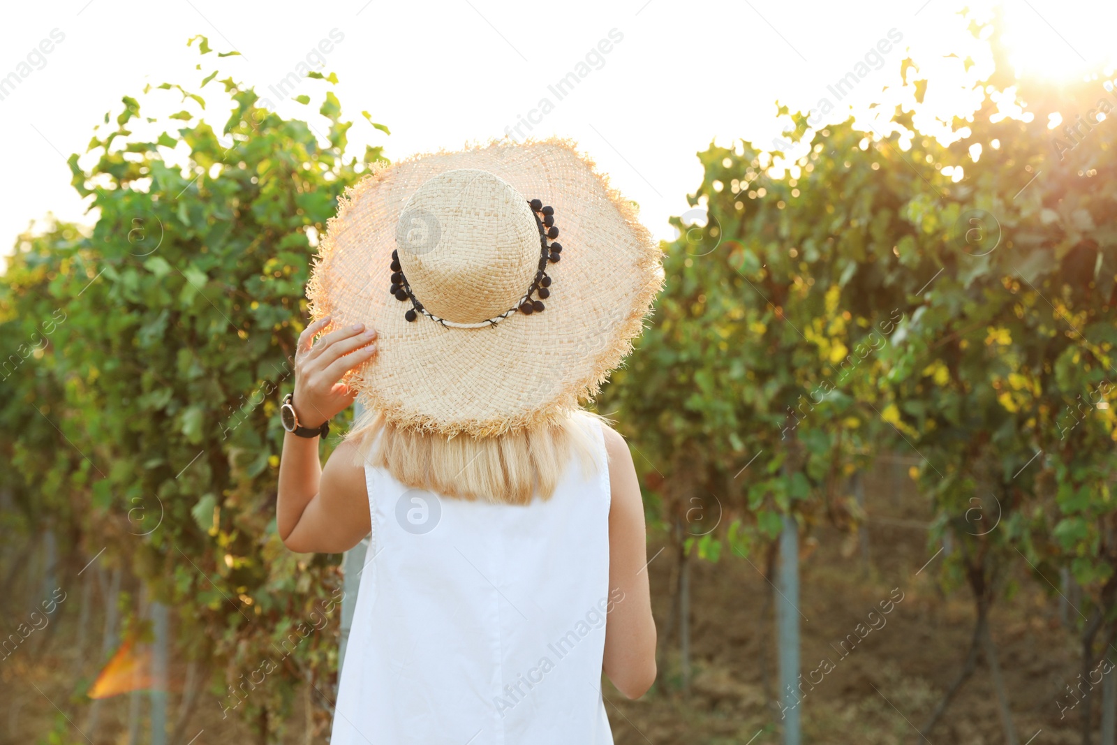 Photo of Young beautiful woman with straw hat at vineyard