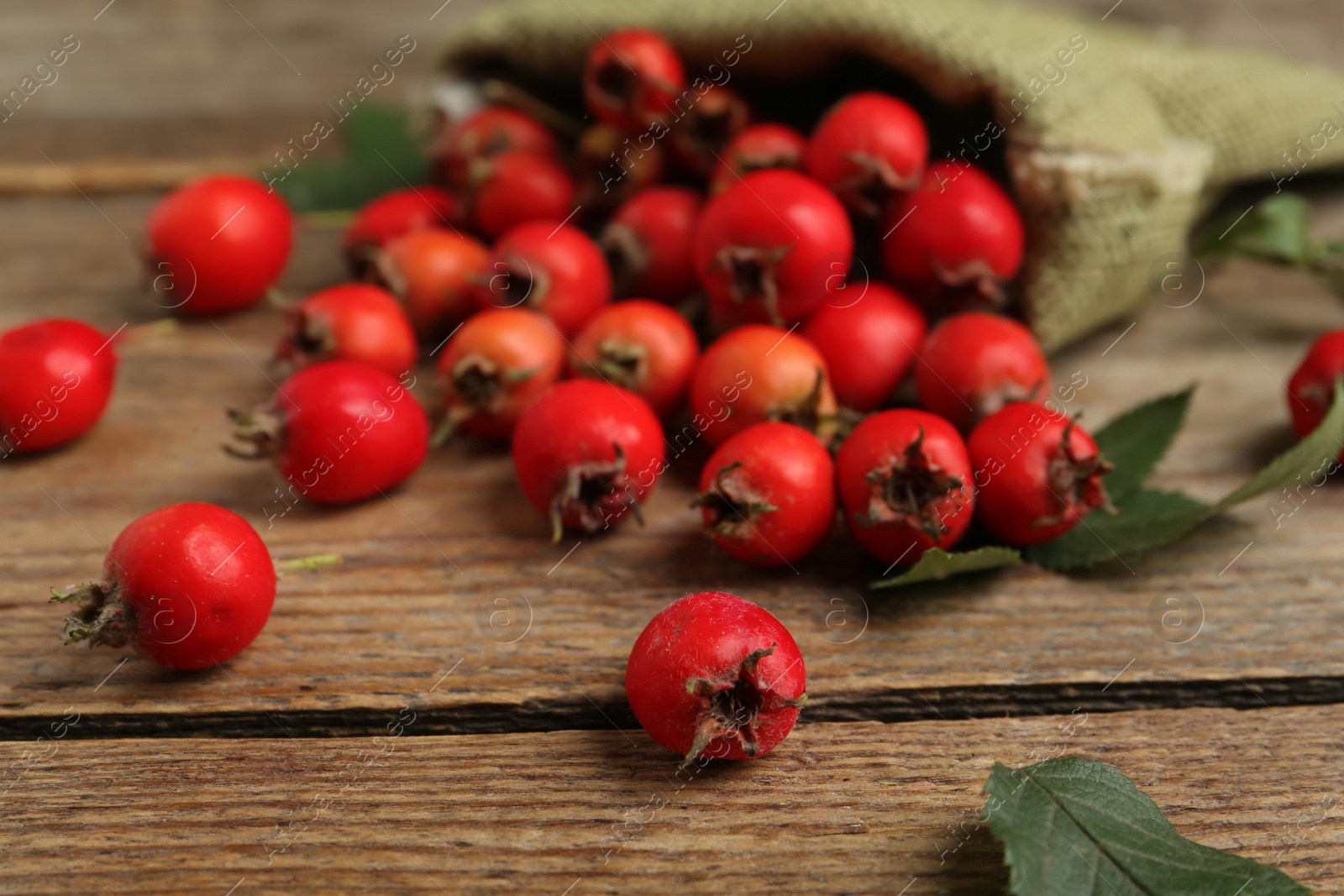 Photo of Ripe rose hip berries with green leaves on wooden table, closeup