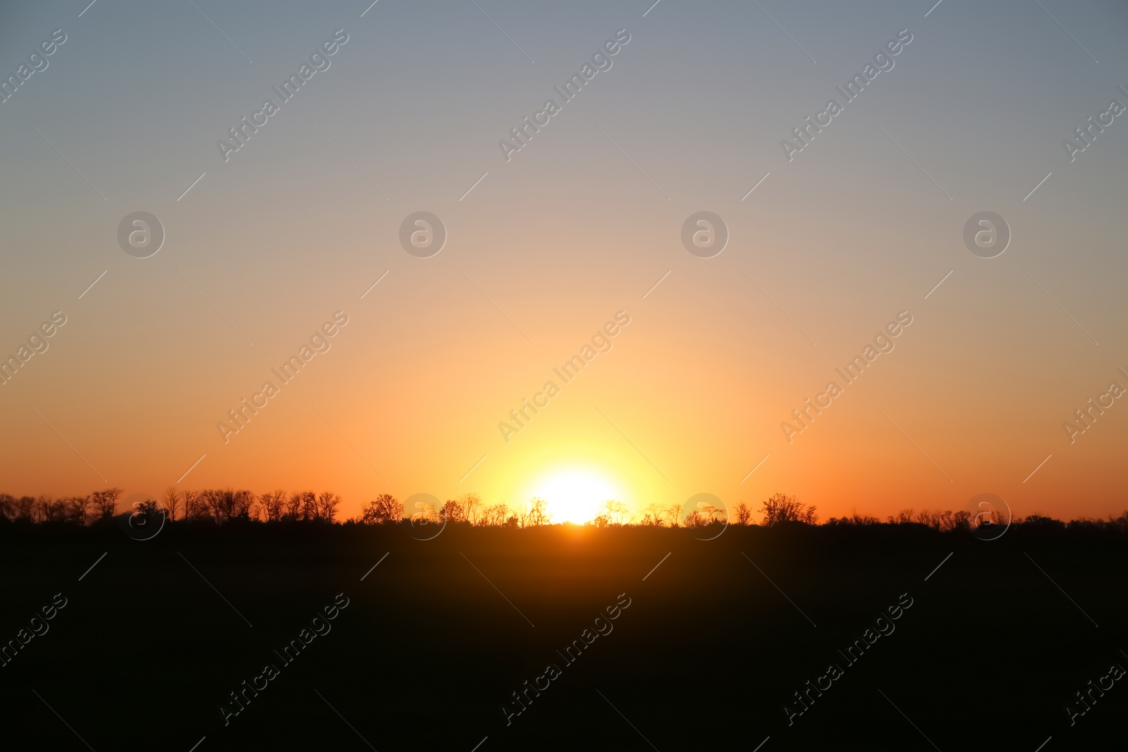 Photo of Beautiful view on field during sunset. Picturesque landscape