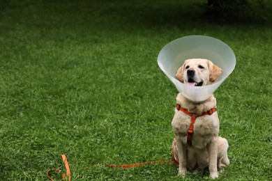 Adorable Labrador Retriever dog with Elizabethan collar sitting on green grass outdoors, space for text
