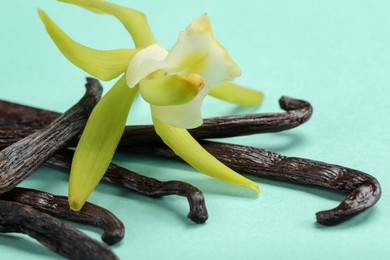 Photo of Vanilla pods and beautiful flower on turquoise background, closeup