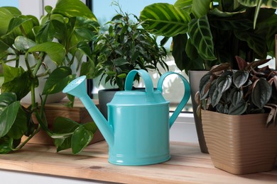 Different beautiful houseplants and light blue metal watering can on window sill indoors