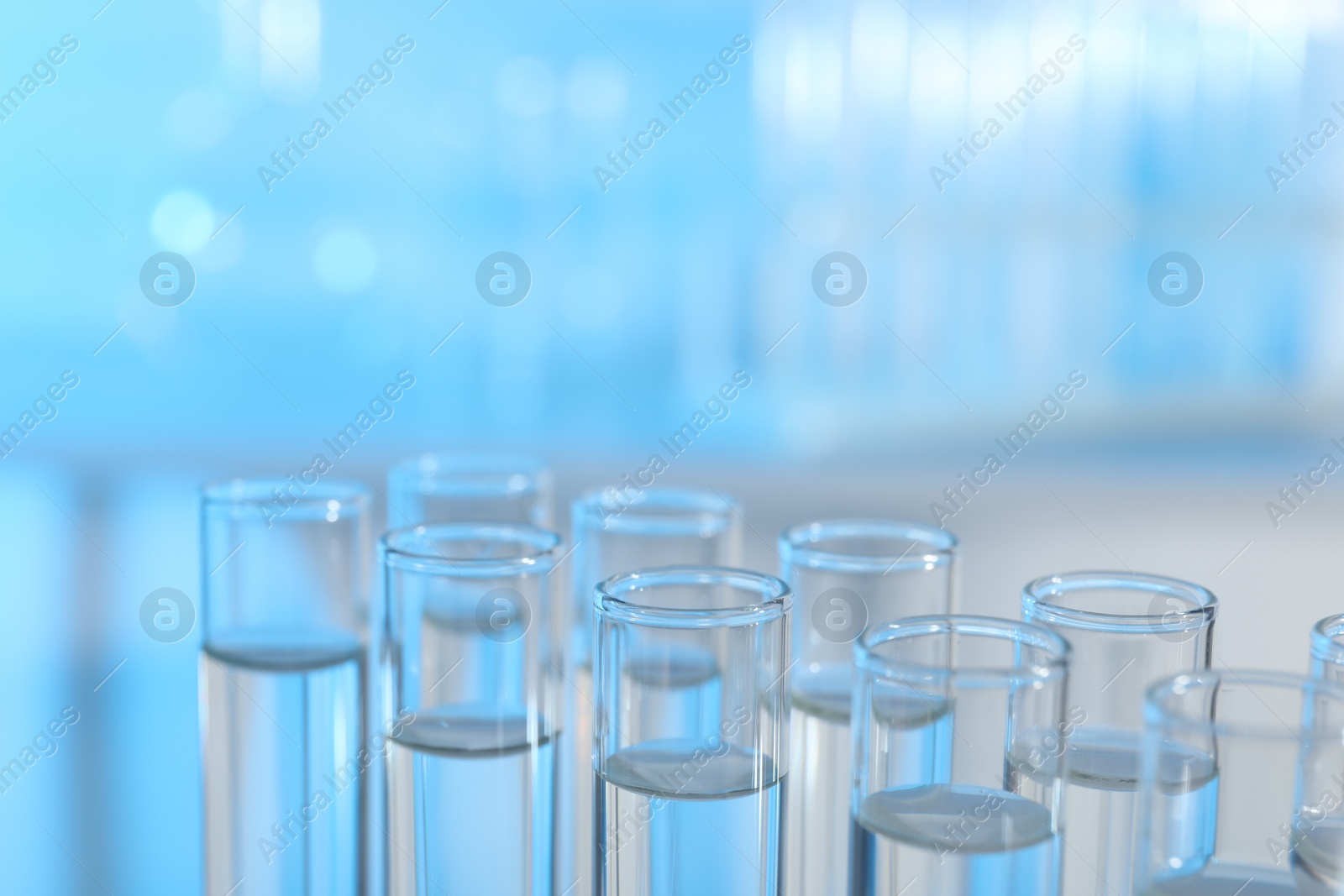 Photo of Many glass test tubes on light blue background, closeup