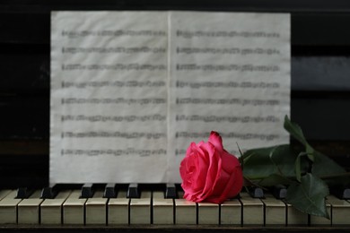 Beautiful pink rose and musical notes on piano, space for text