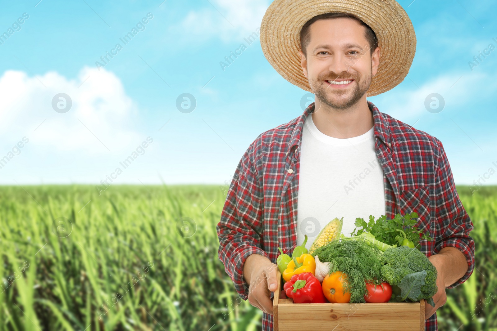 Image of Harvesting season. Farmer holding wooden crate with crop in field