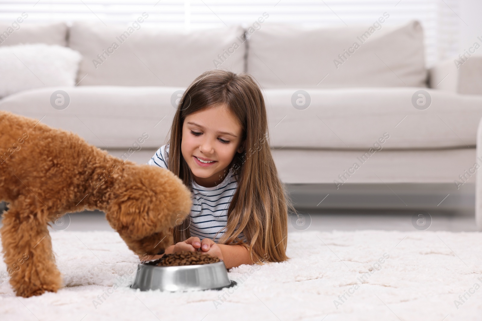 Photo of Little child feeding cute puppy on carpet at home. Lovely pet