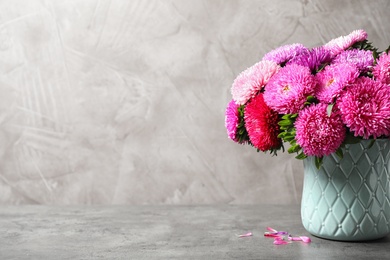 Vase with beautiful aster flowers on grey table against beige background. Space for text