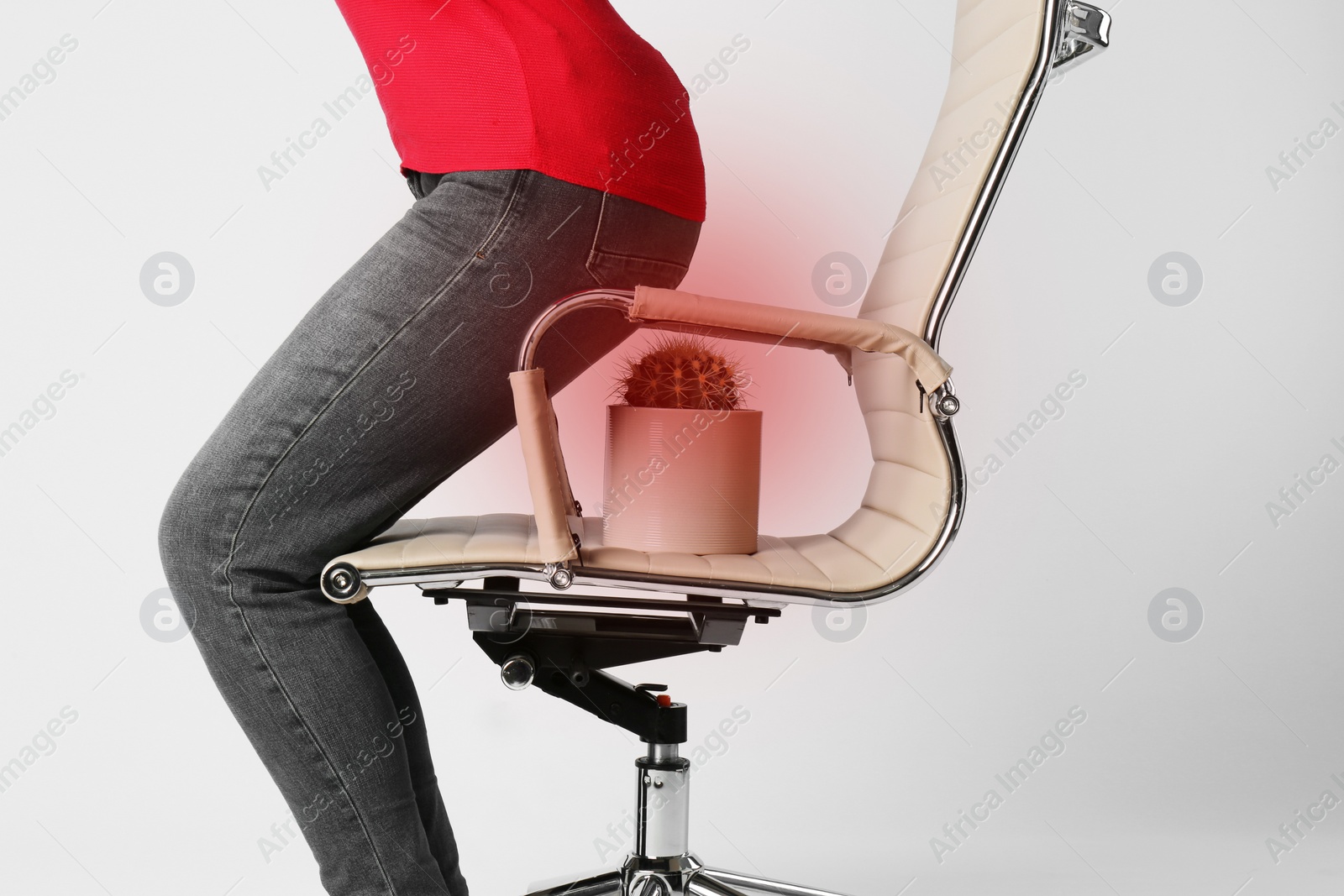 Image of Hemorrhoid concept. Woman sitting down on chair with cactus against white background, closeup