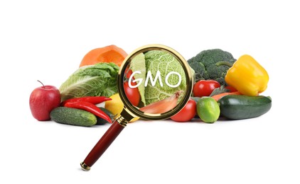 Image of View through magnifying glass on fresh vegetables and fruits against white background. GMO concept