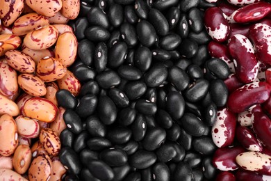 Different kinds of beans as background, closeup