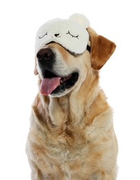 Photo of Cute Labrador Retriever with sleep mask on white background