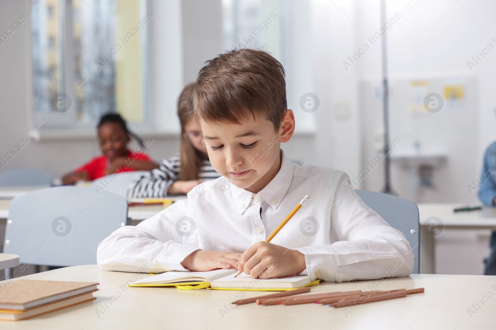 Photo of Portrait of cute little boy studying in classroom at school