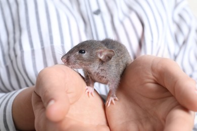 Photo of Woman holding cute small rat, closeup view