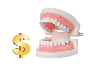 Image of Model of tooth and golden dollar sign on white background. Concept of expensive dental procedures
