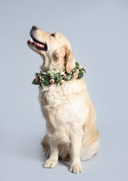 Photo of Adorable golden Retriever wearing wreath made of beautiful flowers on grey background