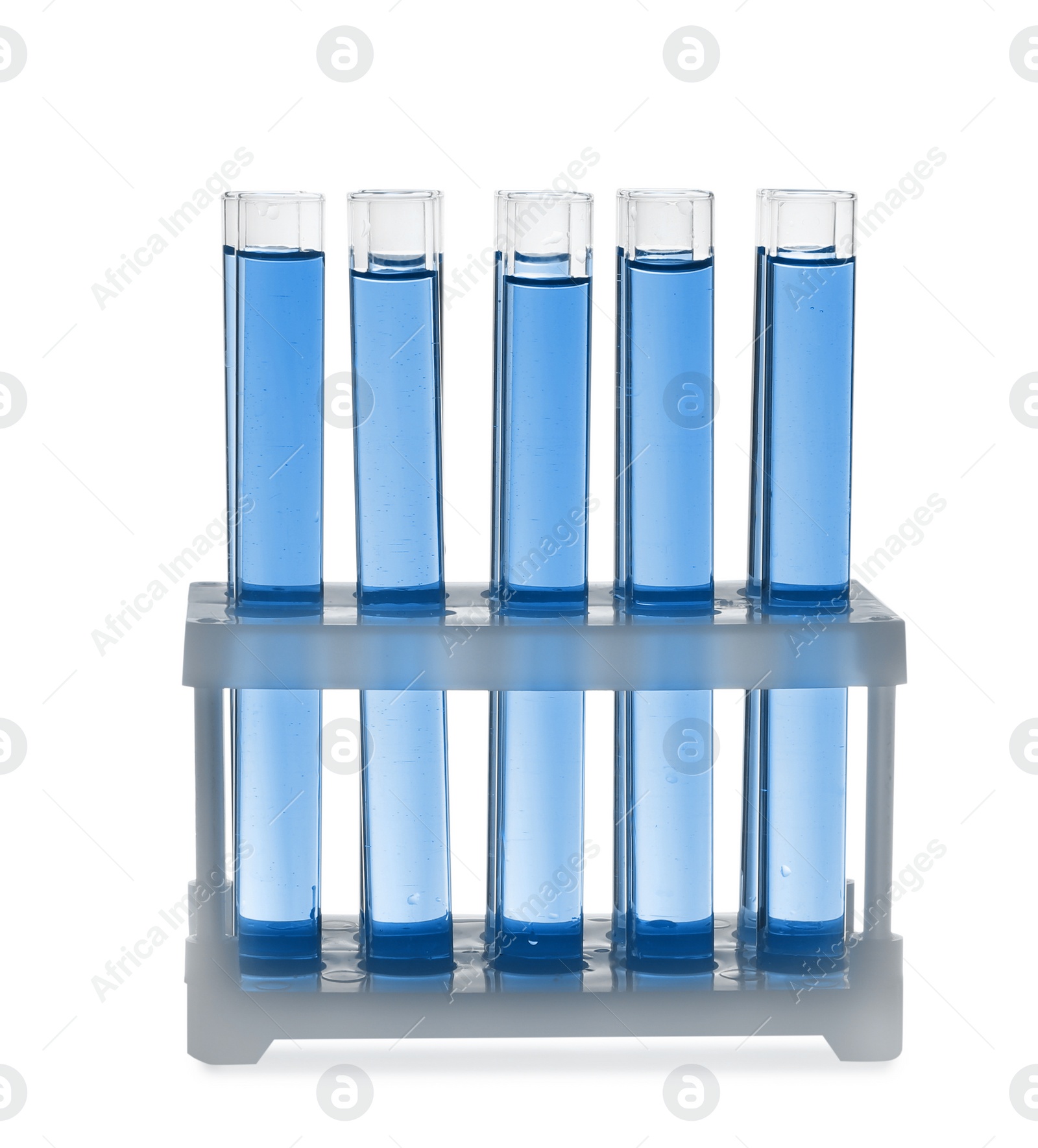 Image of Test tubes with blue liquid in rack isolated on white