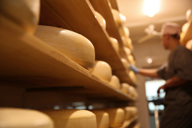 Fresh cheese heads in factory warehouse and blurred worker on background