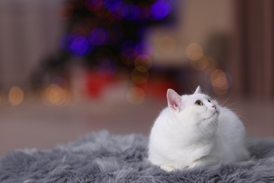 Christmas atmosphere. Cute cat lying on fur rug against blurred lights. Space for text