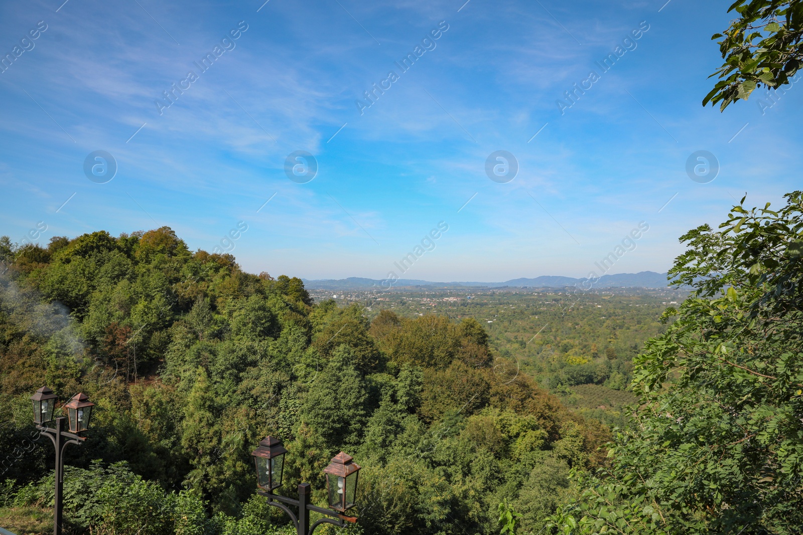 Photo of Beautiful mountain landscape with forest on sunny day