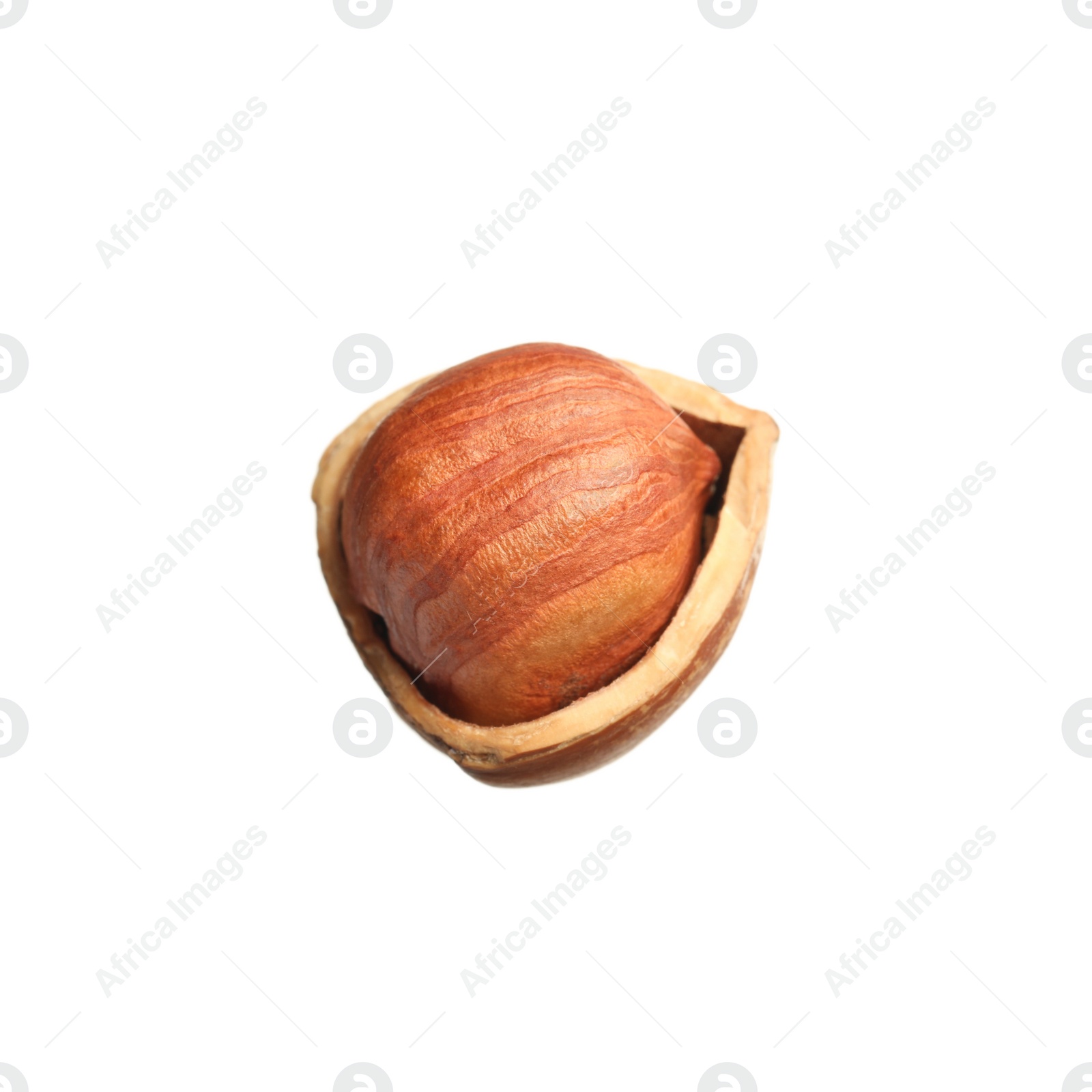 Photo of Tasty hazelnut in shell isolated on white