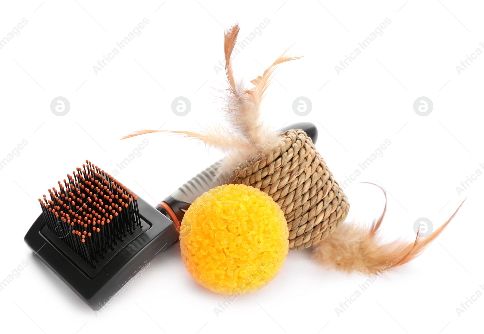 Photo of Cat's accessories on white background