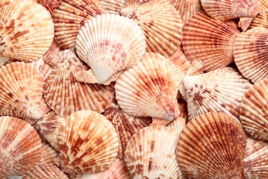 Photo of Top view of beautiful color seashells as background