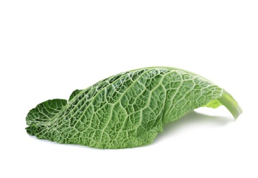 Green leaf of savoy cabbage on white background