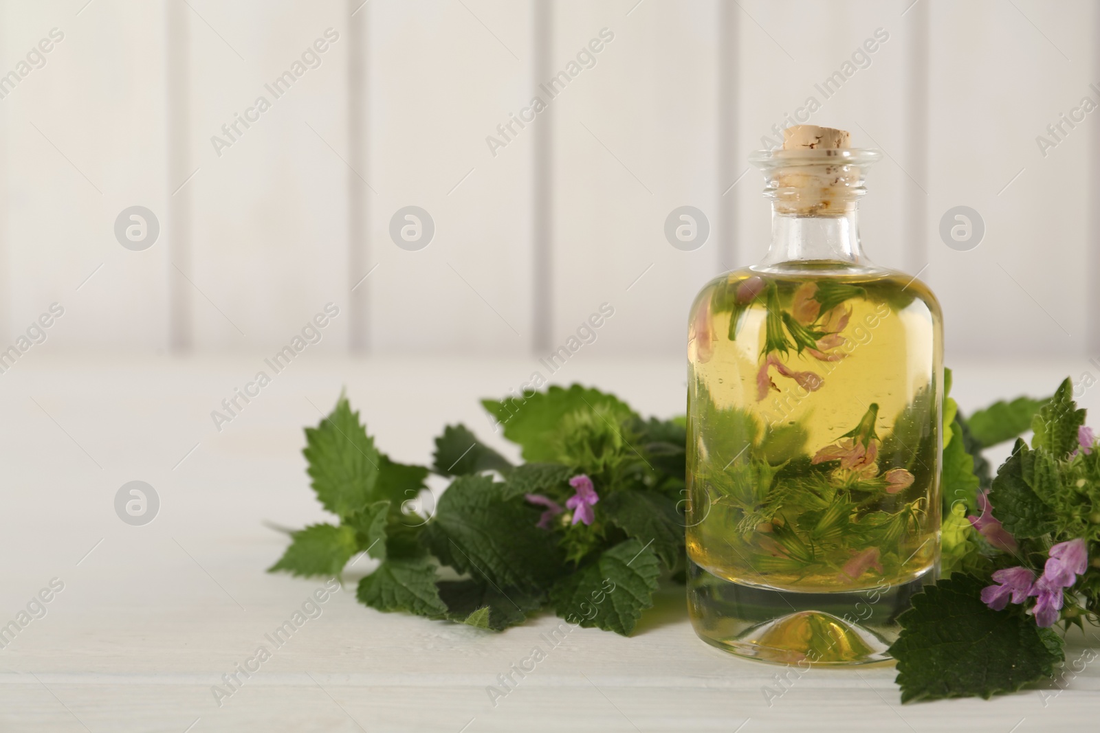Photo of Glass bottle of nettle oil with flowers and leaves on white wooden table, closeup. Space for text