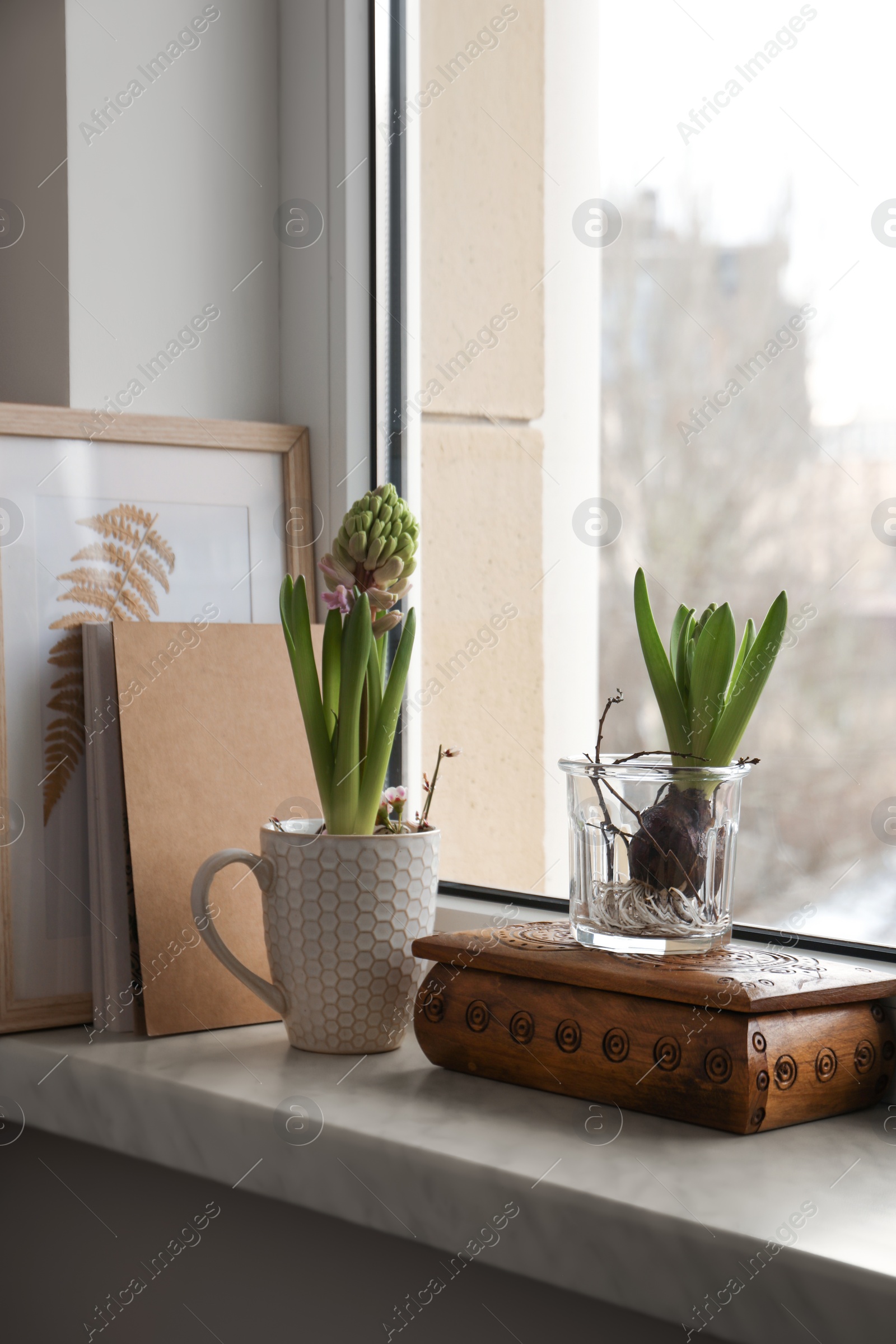 Photo of Beautiful bulbous plants on windowsill indoors. Spring time