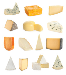 Set with different sorts of cheese on white background