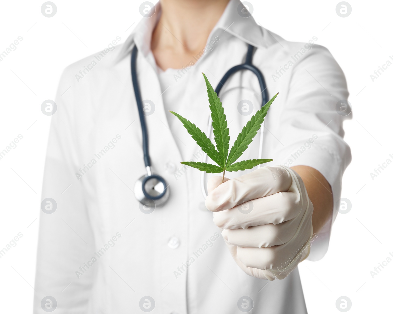Photo of Doctor holding leaf of medical hemp on white background, closeup