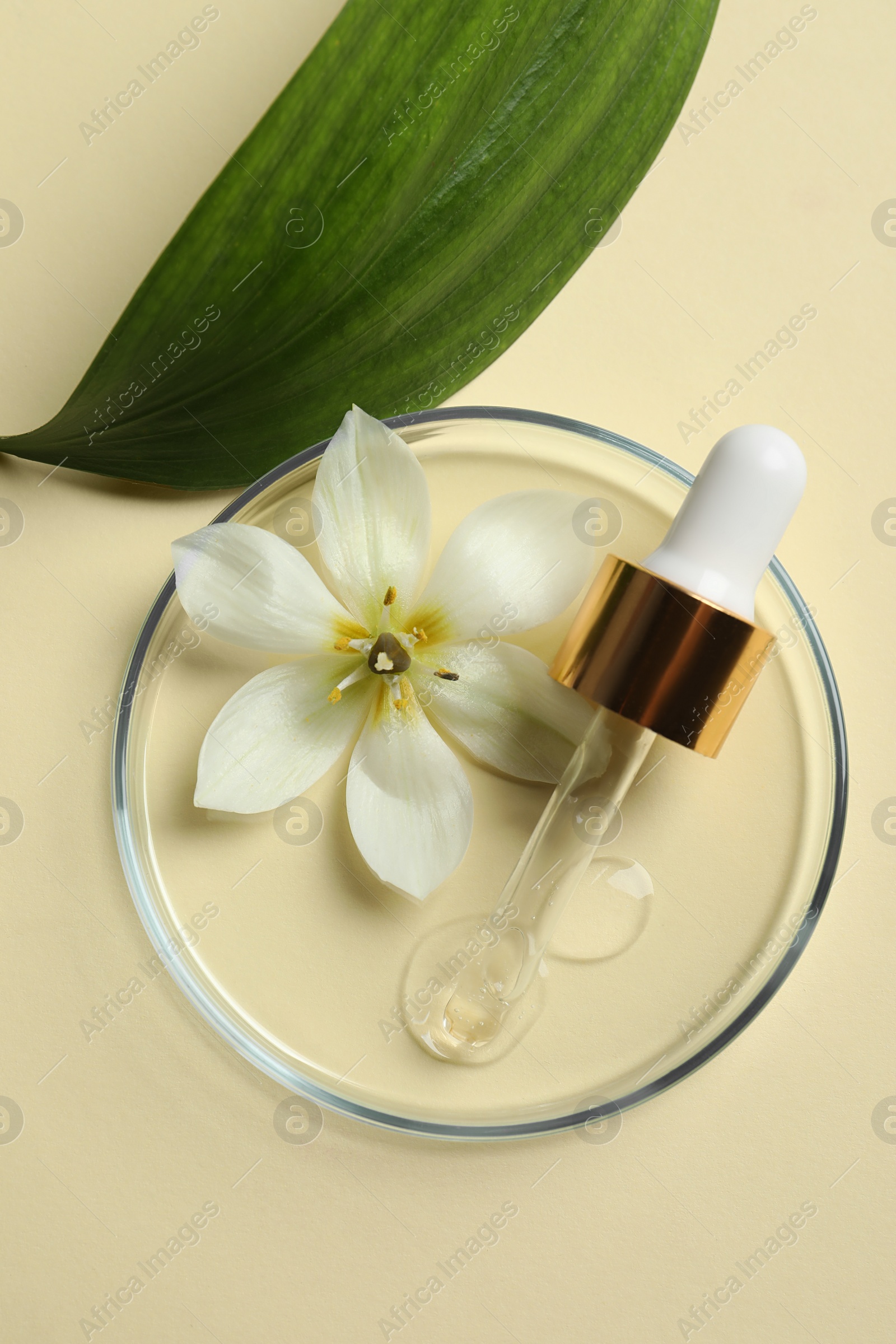 Photo of Petri dish with sample of cosmetic oil, pipette, beautiful flower and leaf on beige background, flat lay